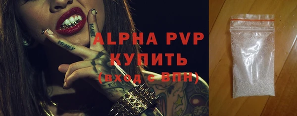 стаф Чита