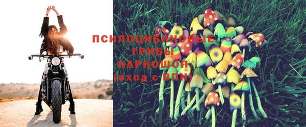 мет Ладушкин