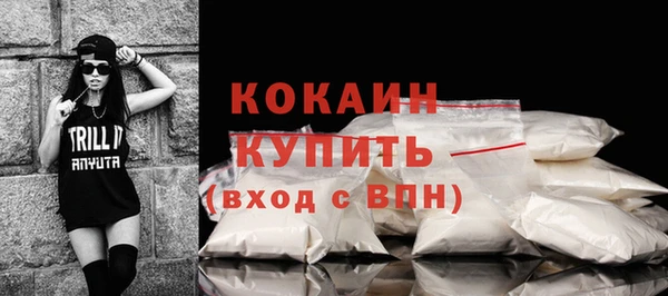 мет Ладушкин