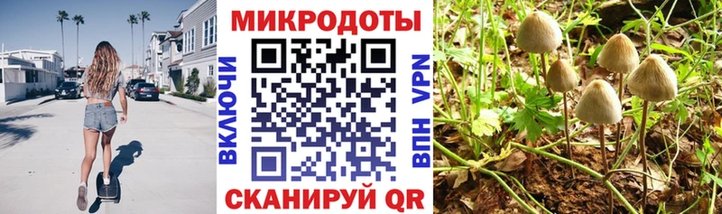 закладки  Спас-Деменск  Галлюциногенные грибы ЛСД 